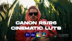 让佳能R5/R6视频秒变电影级!这套LUT预设太强了!